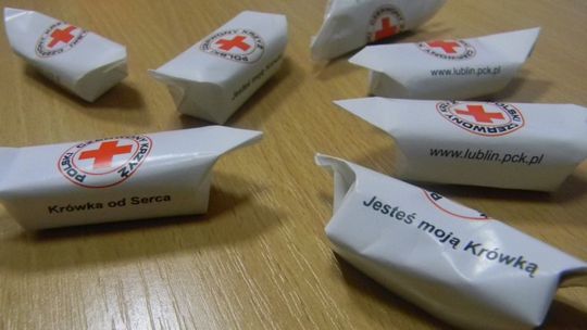 Kup misia albo krówki i pomóż w ten sposób PCK