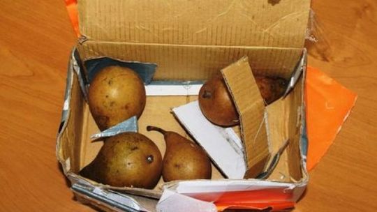 Kupiła na aukcji telefon. Dostała 4 gruszki 