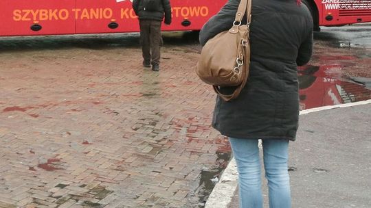 Kupili bilety, ale autobusów nie było. Przewoźnik oddał im 1280 zł