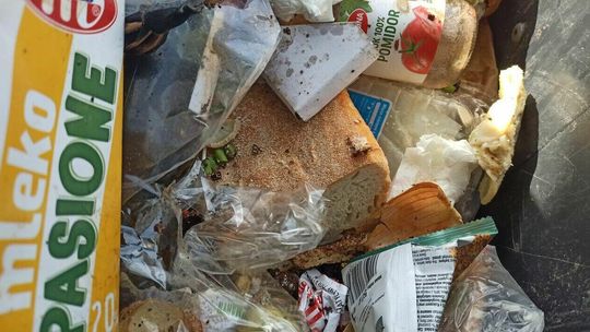 Kupujemy, nie jemy i wyrzucamy na śmietnik. Straty to 2,5 tys. złotych rocznie