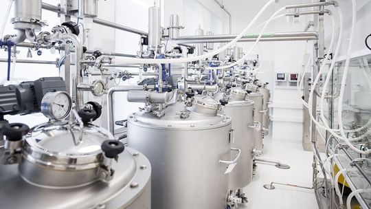 Kurs Biomed Lublin wystrzelił na giełdzie. Co się stało?