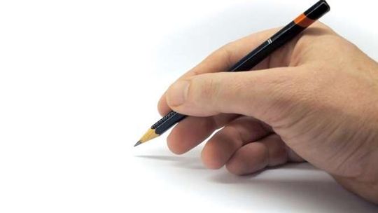 Kurs rysunku dla kandydatów na studia na Uniwersytecie Przyrodniczym