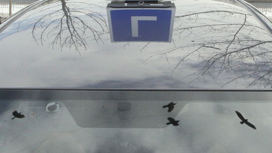 Kursant nauki jazdy przebadany testerem. Odpowie przed sądem