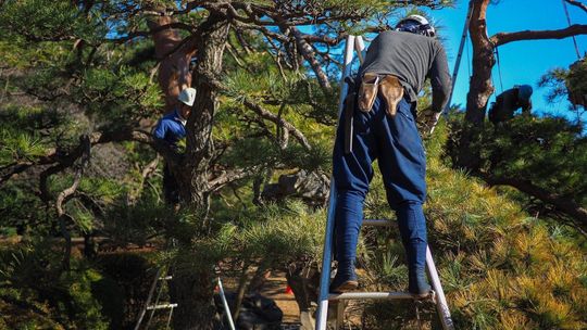 Kwarantanna może być niebezpieczna. Do okulistów trafia coraz więcej dzieci i dorosłych