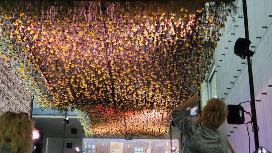 Kwiatowy sufit w Centrum Spotkania Kultur. Ostatni moment, żeby zobaczyć [zdjęcia]