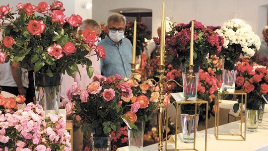 Kwiaty, barokowe tańce i... szczepionki dla każdego. Święto Róż w Końskowoli [program]