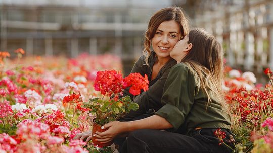 Kwiaty na dzień mamy – idealny sposób na okazanie wdzięczności