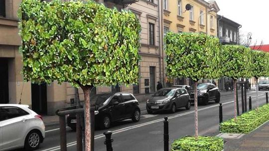 Kwiaty przy ulicach i na rondach. Posadzą też drzewa w kształcie sześcianu