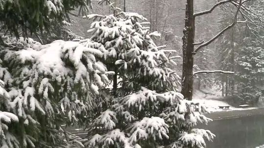 Kwiecień plecień. W Zakopanem spadł śnieg