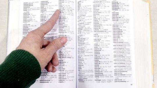 Kylo, brejdak Gela, co pazłotka zbiera. Rośnie słownik lubelskich słówek