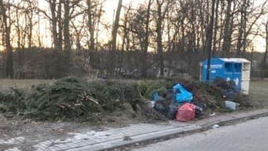 "Lada chwila zacznie się problem z odpadami zielonymi". Dlaczego zlikwidowano pojemniki?