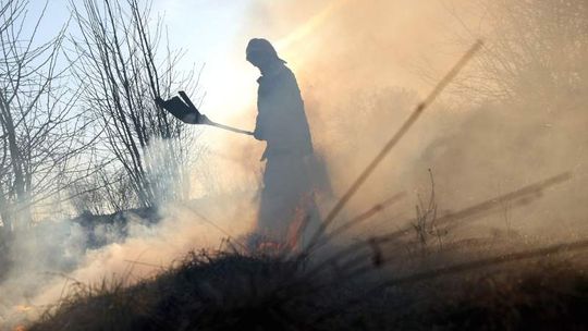 Łąki już zapłonęły. 555 interwencji strażaków