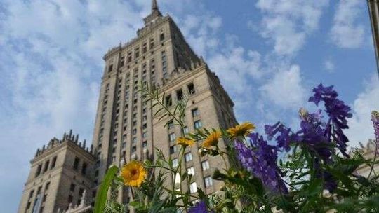 Łąki w mieście. "Lublin jeszcze nie jest na to gotowy"