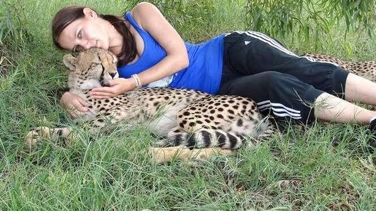 Lampart i nieznany czepiak