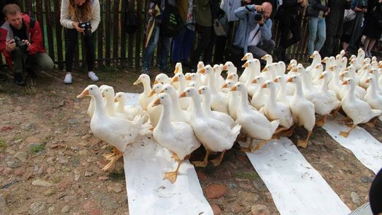 Land Art Festiwal. Czy tegoroczna edycja dojdzie do skutku?