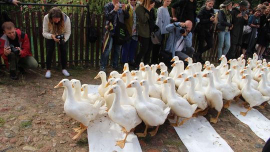 Landart Festiwal 2018. Spacer wernisażowy we wsi Bubel-Granna [zdjęcia]