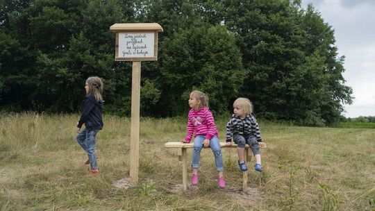 Landart Festiwal 2019. "Taka sztuka w naturze to strzał w dziesiątkę" [ZDJĘCIA]