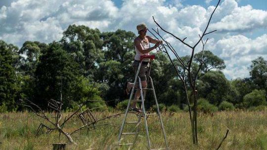 Landarty powstają nad Bugiem