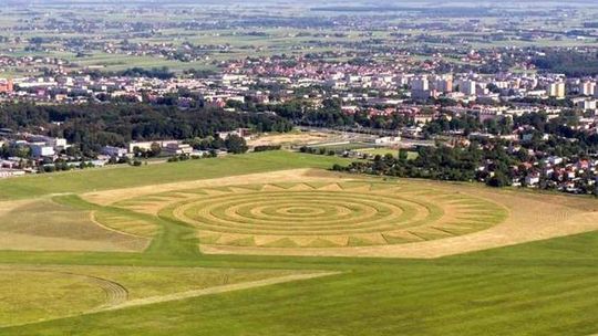 Landarty przy lotnisku. Co można posadzić, żeby nie zaszkodzić susłom?