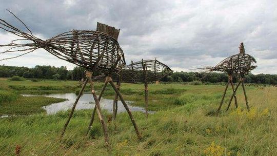 Landarty znowu nad Bugiem. Rusza festiwal 