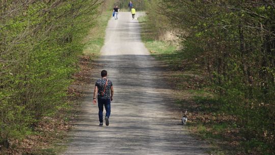 Las przy Kraśniku Fabrycznym wymknie się piłom