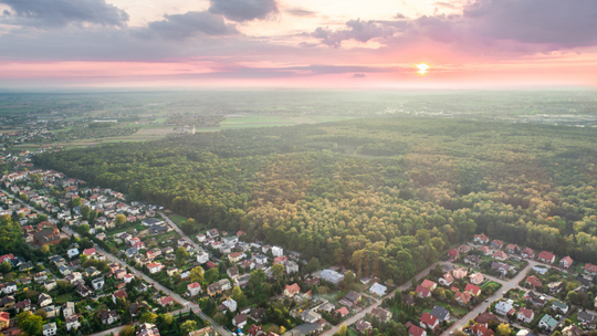 Las Rejkowizna pod lupą ekspertów