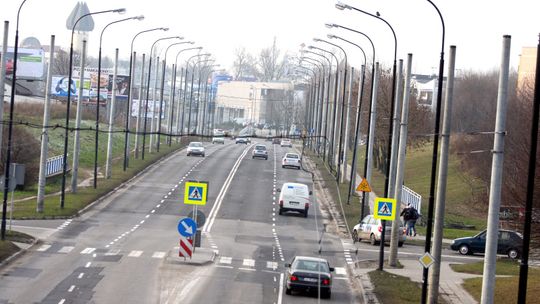 Las słupów nie zniknie z ulic