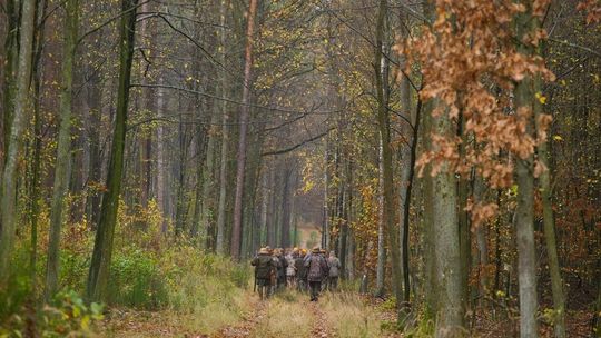 Las w okolicy Lubartowa i ostrzeżenie. Uwaga, mogą strzelać