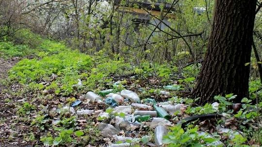 Lasy toną w śmieciach, a sprawców trudno złapać