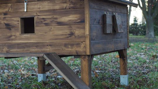 Łęczna: Gdzie zbudować domki dla kotów?