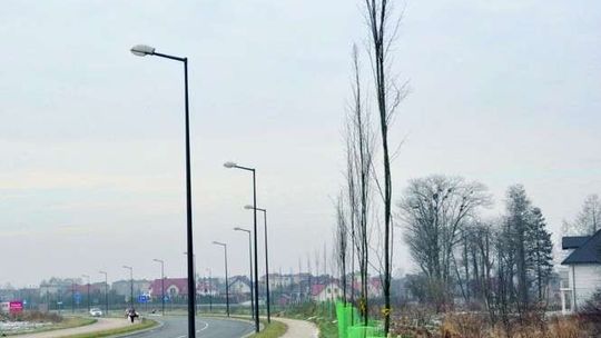 Łęczna: Miasto będzie zielone