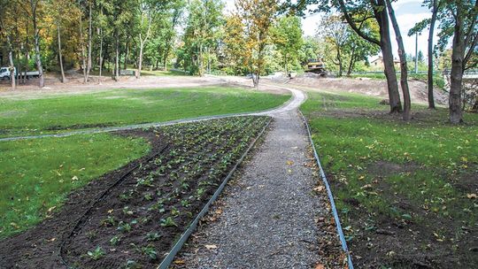 Łęczna: Prace w parku Podzamcze mają się zakończyć w tym roku