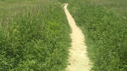 Łęczna: Wybrukowali dzikie ścieżki