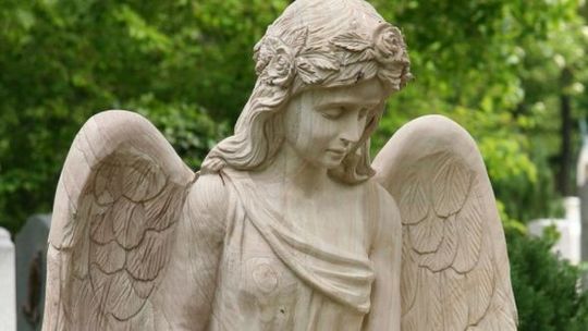 Łęczna: Wyszukiwarka grobów na cmentarzu w Podzamczu