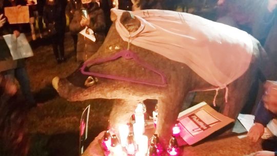 Łęczyński dzik z wieszakiem i w maseczce z piorunem. Protest kobiet