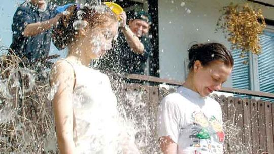 Lejus w ogrodzie i na ulicy