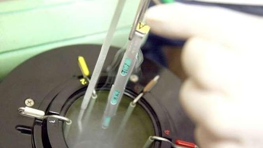 Lekarz z Lublina: Zainteresowanie programem in vitro jest bardzo duże