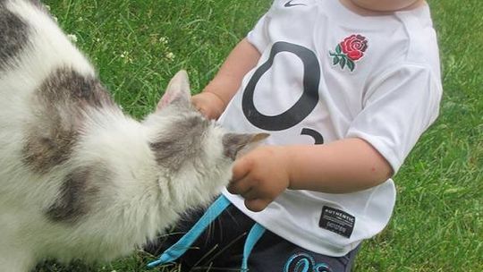 Lekarze z Polski sugerowali amputację. Rodzice się nie poddali