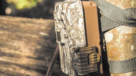 Leśnicy zastawiają w lubelskich lasach takie pułapki. Bo nadchodzi gorący okres