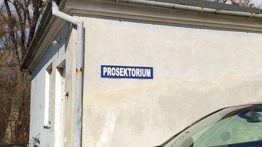 Leśniowice. Śmierć na kwadrans przed Nowym Rokiem