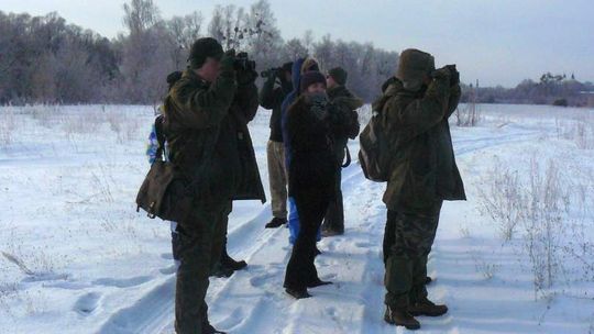Liczą ptaki w regionie. Co kwiczoł robi w głogu?