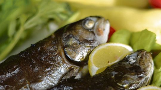 Lin czy sielawa. Lubelskie przypomina, że Polska była rybną potęgą kulinarną