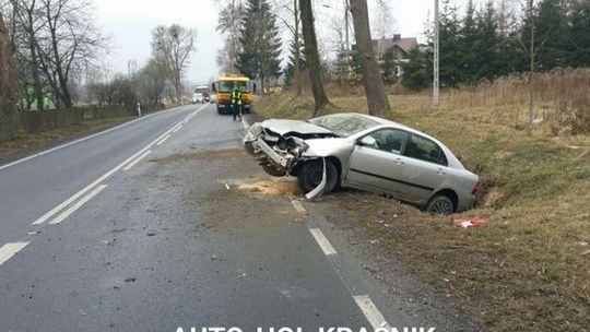 Liśnik Mały. Samochód wpadł do rowu