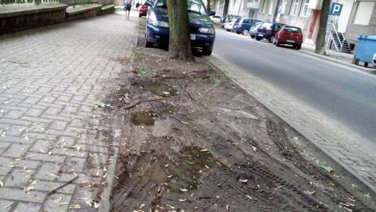 List: Kierowcy rozjeżdżają trawniki, postawmy słupki (zdjęcia)