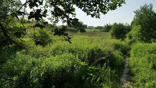 List otwarty do Krzysztofa Żuka. Górki czechowskie – czas odpuścić 