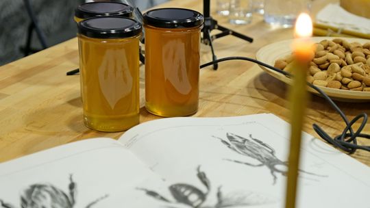 Listopad miesiącem miodowym w Lublinie