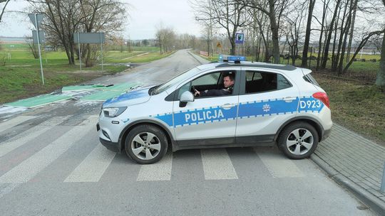 Lisy z hodowli nakarmiono padłymi indykami. Tak ptasia grypa dotarła w kolejne miejsce w Lubelskiem