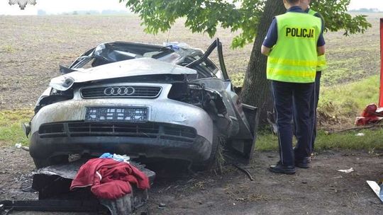 Łoś wbiegł na jezdnię, prosto pod samochód. Skończyło się tragicznie