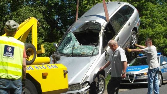 Łoś wbiegł pod koła. Kierowca nie żyje