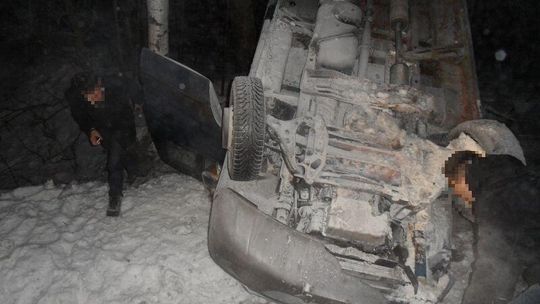 Łoś wbiegł pod koła. Samochód wpadł do rowu